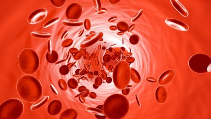 Fotolia_115207963_XS1.jpg